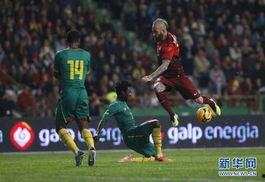 喀麦隆足球爆料最新消息,揭秘国家队备战秘籍与球星转会传闻